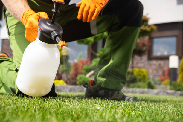 Best Pest Removal Services  in Round Lake Park, IL