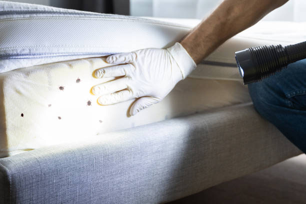 Best Residential Pest Control  in Round Lake Park, IL