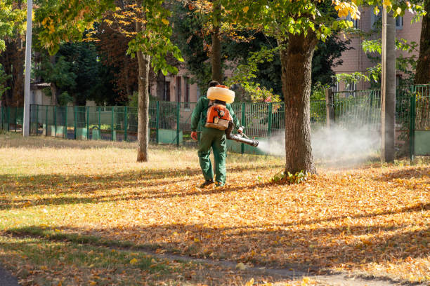 Best Pest Prevention Services  in Round Lake Park, IL