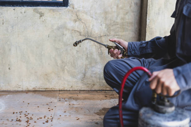 Best Pest Control Near Me in Round Lake Park, IL
