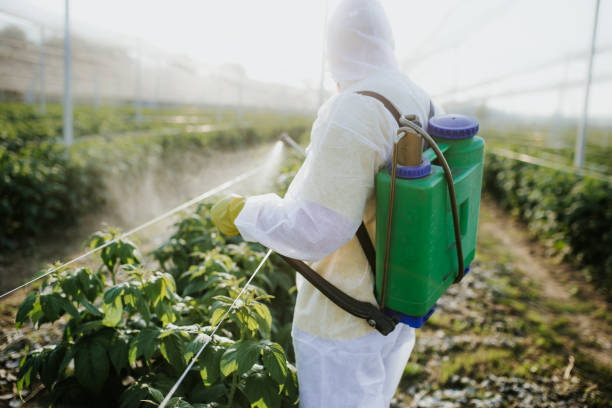 Best Cockroach Control Services  in Round Lake Park, IL